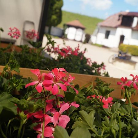 Žďár nad Sázavou Hotel A Hostinec Talsky Mlyn מראה חיצוני תמונה